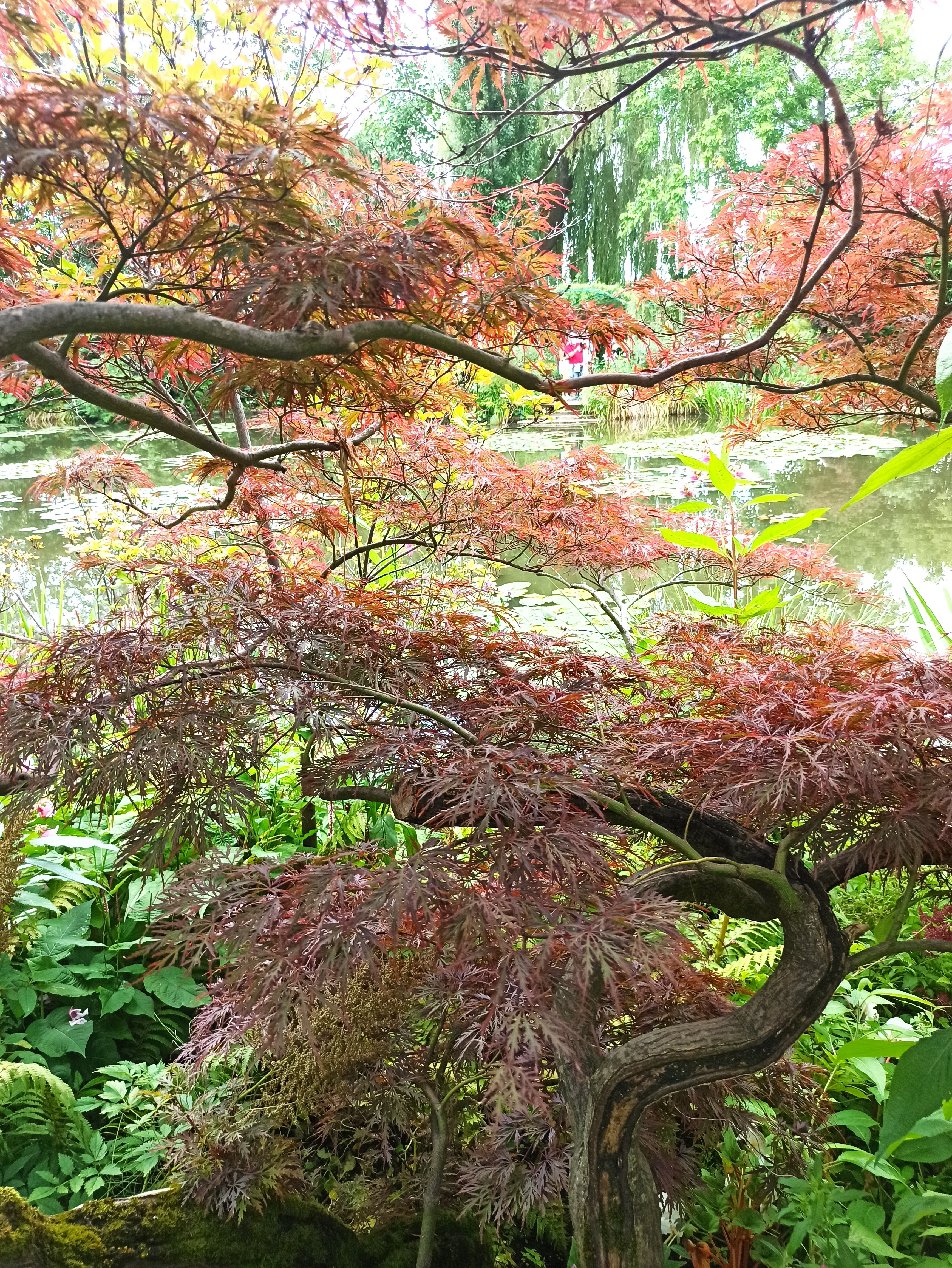 Photo n° 4 de l'avis de Antonio.a fait le 11/08/2021 à 17:59