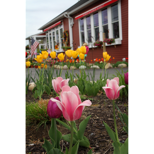 Florist «The Posie Peddler», reviews and photos, 92 West Ave, Saratoga Springs, NY 12866, USA