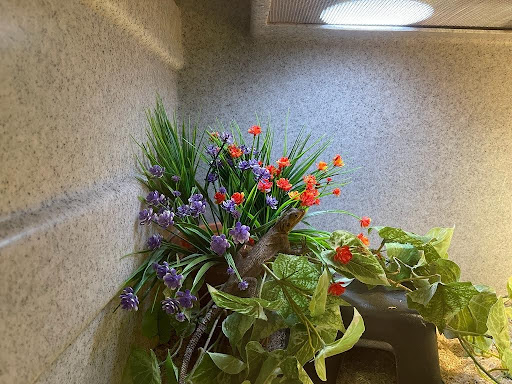 Zoo «Reptile Zoo», reviews and photos, 22715 US-2, Monroe, WA 98272, USA