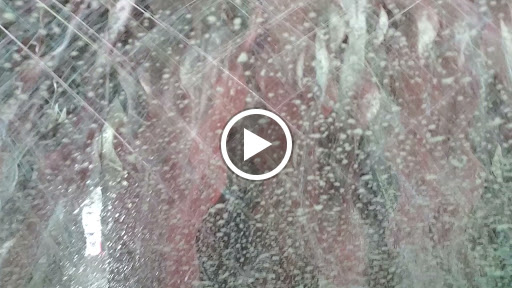 Car Wash «Lake Cook Auto Wash & Detail», reviews and photos, 2370 N Hicks Rd, Palatine, IL 60074, USA