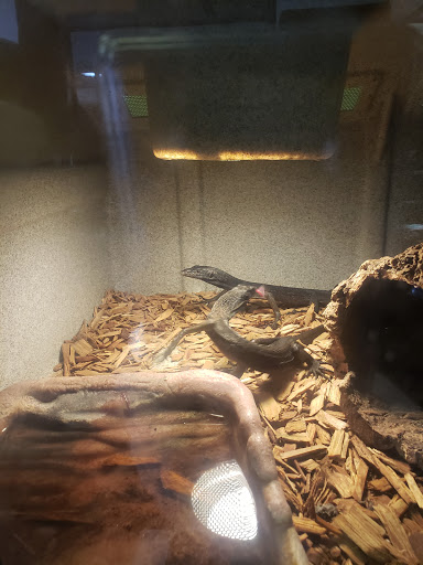 Reptile Store «Reptile Pets Direct», reviews and photos, 8088 Pat Booker Rd, Live Oak, TX 78233, USA