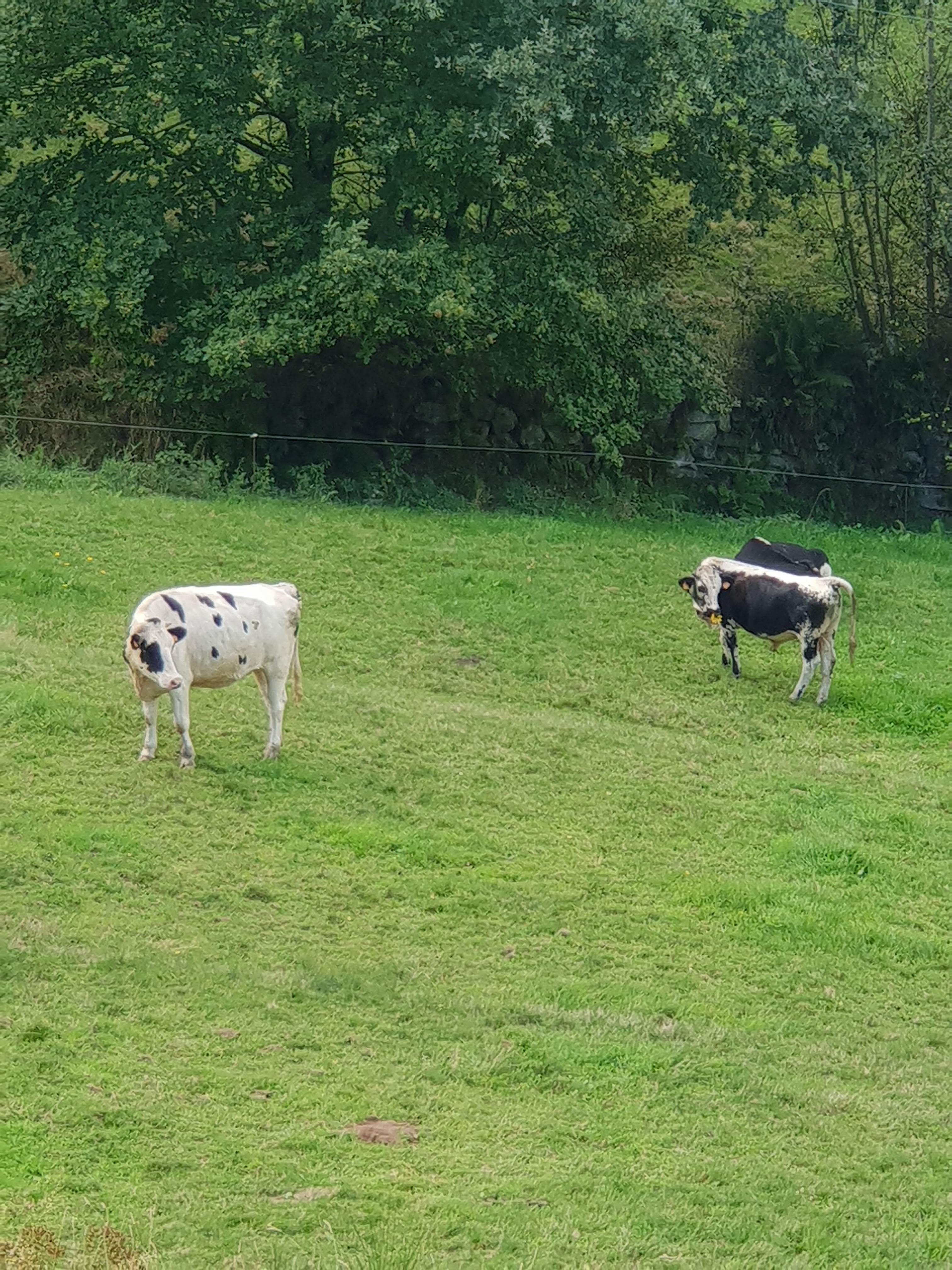 Photo n° 7 de l'avis de david.u fait le 20/09/2018 à 17:57