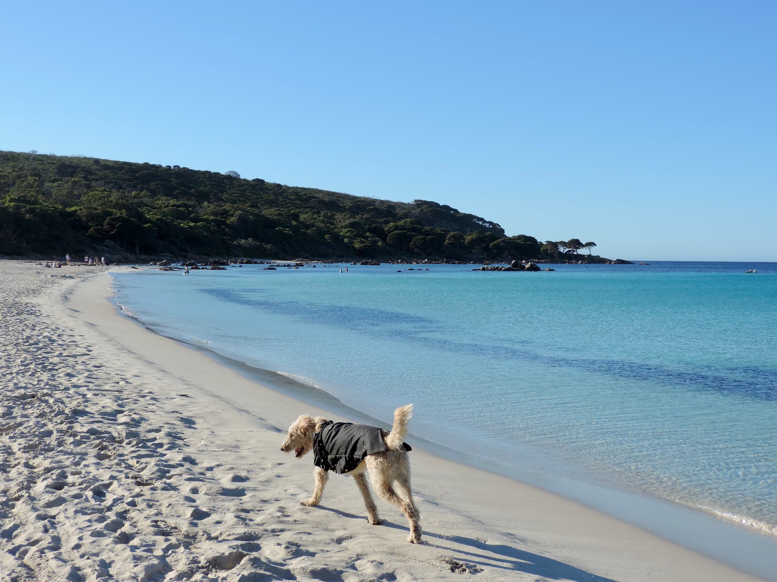 Bunker Bay Beach photo #8