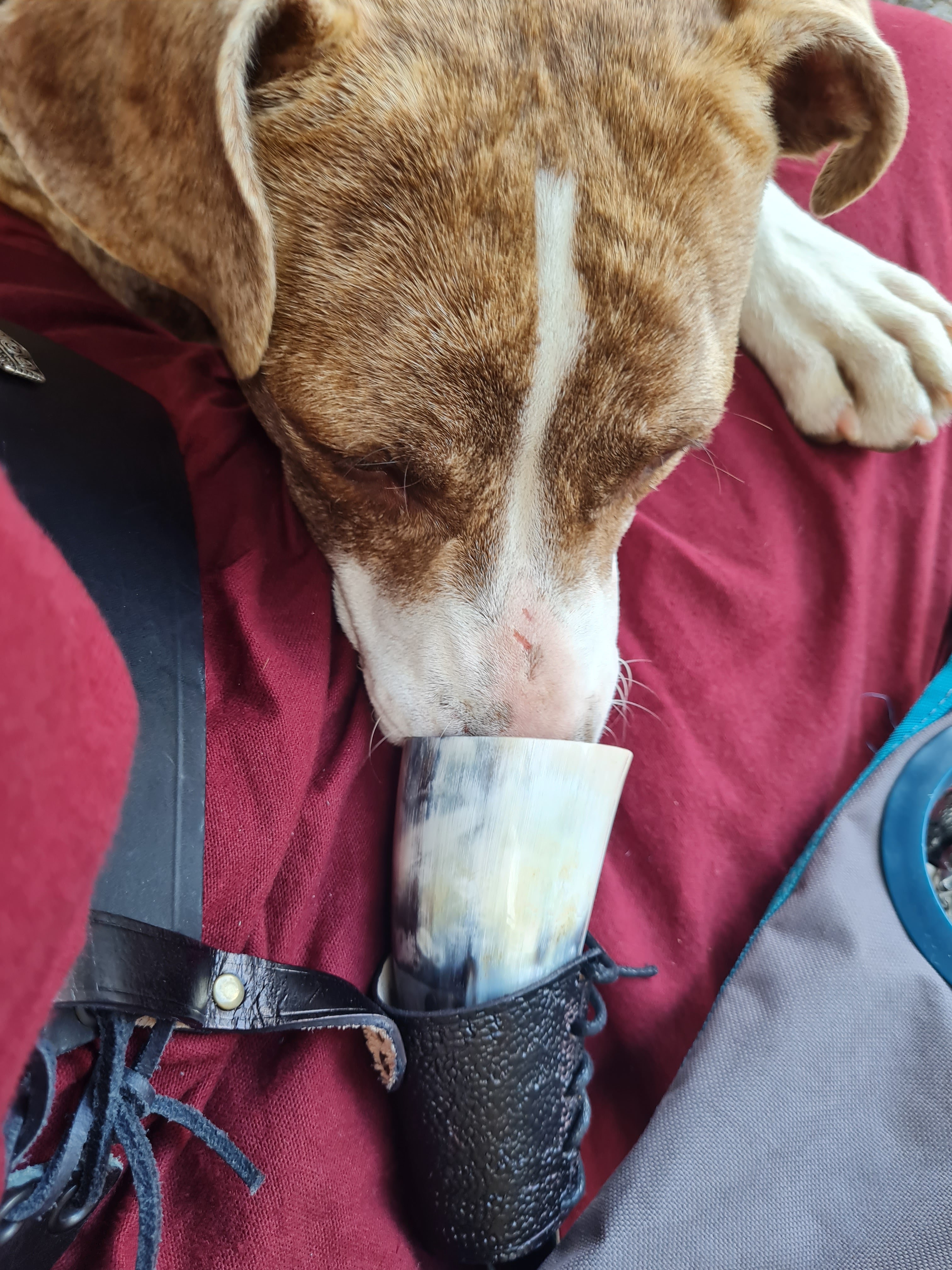 Photo n° 1 de l'avis de Laurine.o fait le 29/06/2023 à 16:18