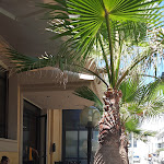 Photo n°4 de l'avis de monia.a fait le 03/08/2022 à 20:51 sur le  Hotel Antares à Cattolica