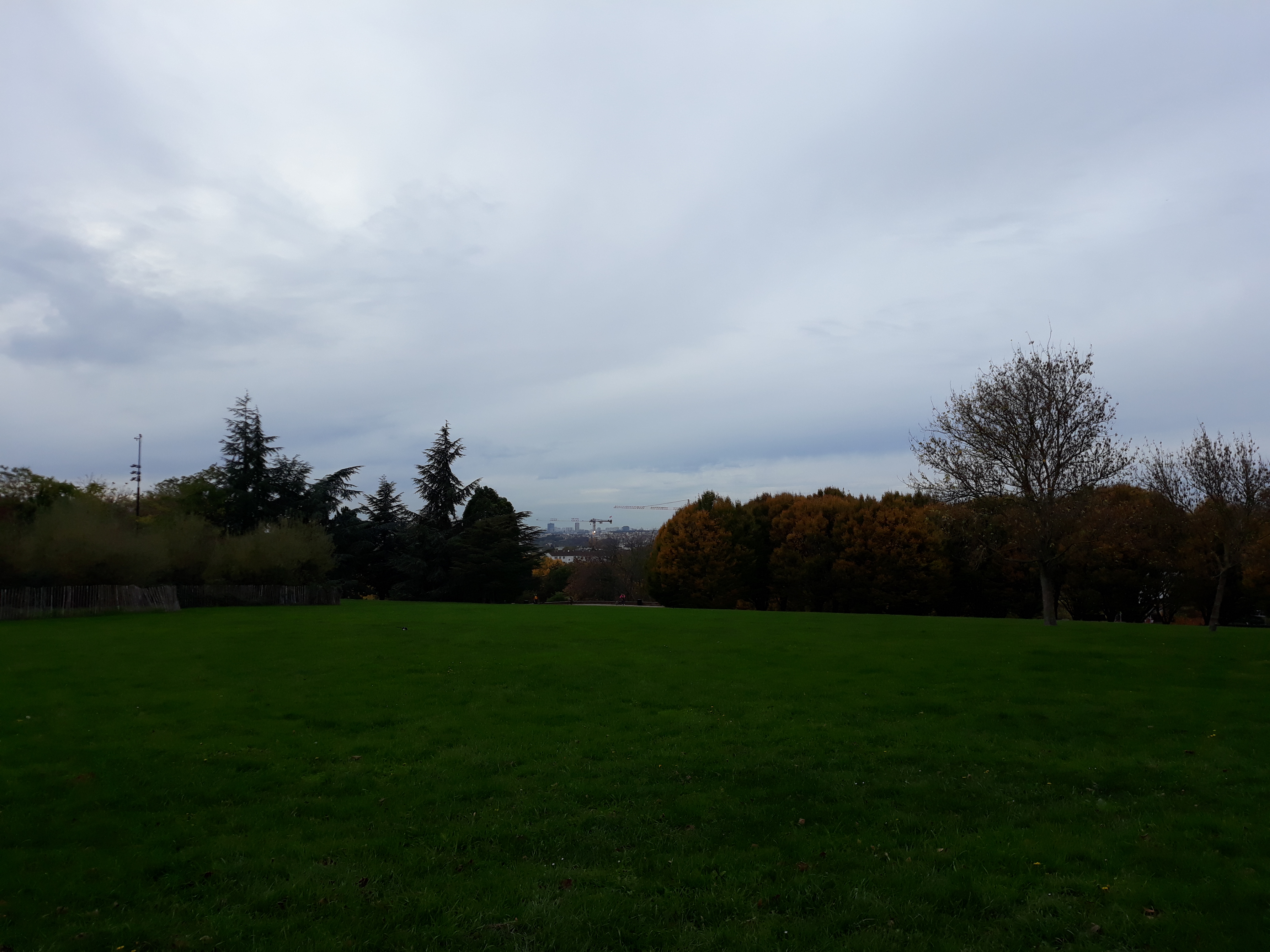 Photo n° 3 de l'avis de Ninfa. fait le 18/11/2019 à 18:40