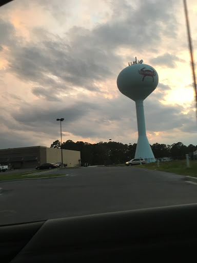 Grocery Store «Food Lion», reviews and photos, 1 Jacksonville Rd, Crisfield, MD 21817, USA