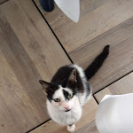 Photo n°1 de l'avis de God.e fait le 30/05/2021 à 14:40 sur le  La Scogliera Ristorante dal 1981 à Torre Colimena