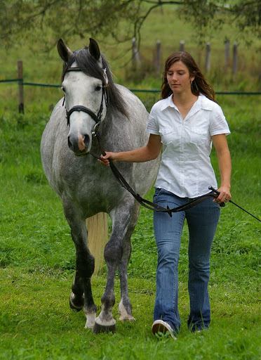 Veterinární klinika Well-vet s.r.o.