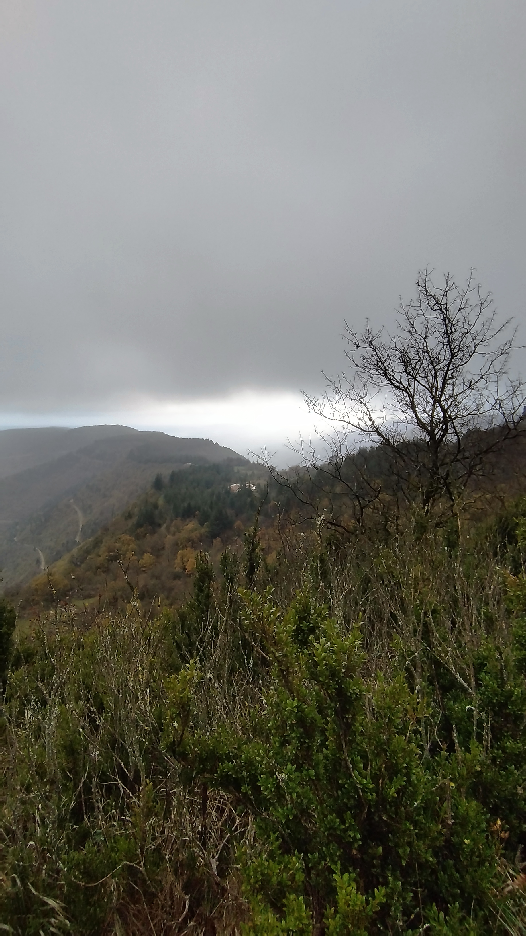 Photo n° 1 de l'avis de Christophe.� fait le 24/11/2023 à 16:09