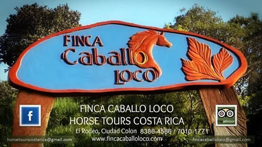 Finca Caballo Loco ~ Horse Tours Costa Rica