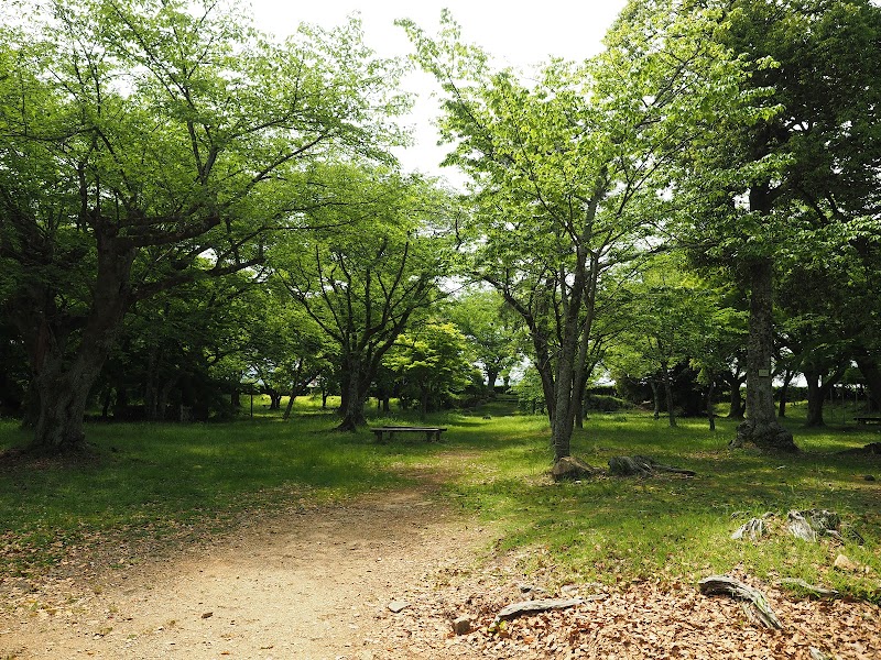 彦根城 鐘の丸跡