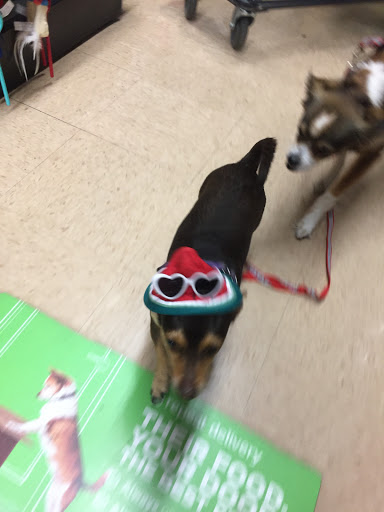 Pet Supply Store «Petco Animal Supplies», reviews and photos, 891 NE D St, Grants Pass, OR 97526, USA