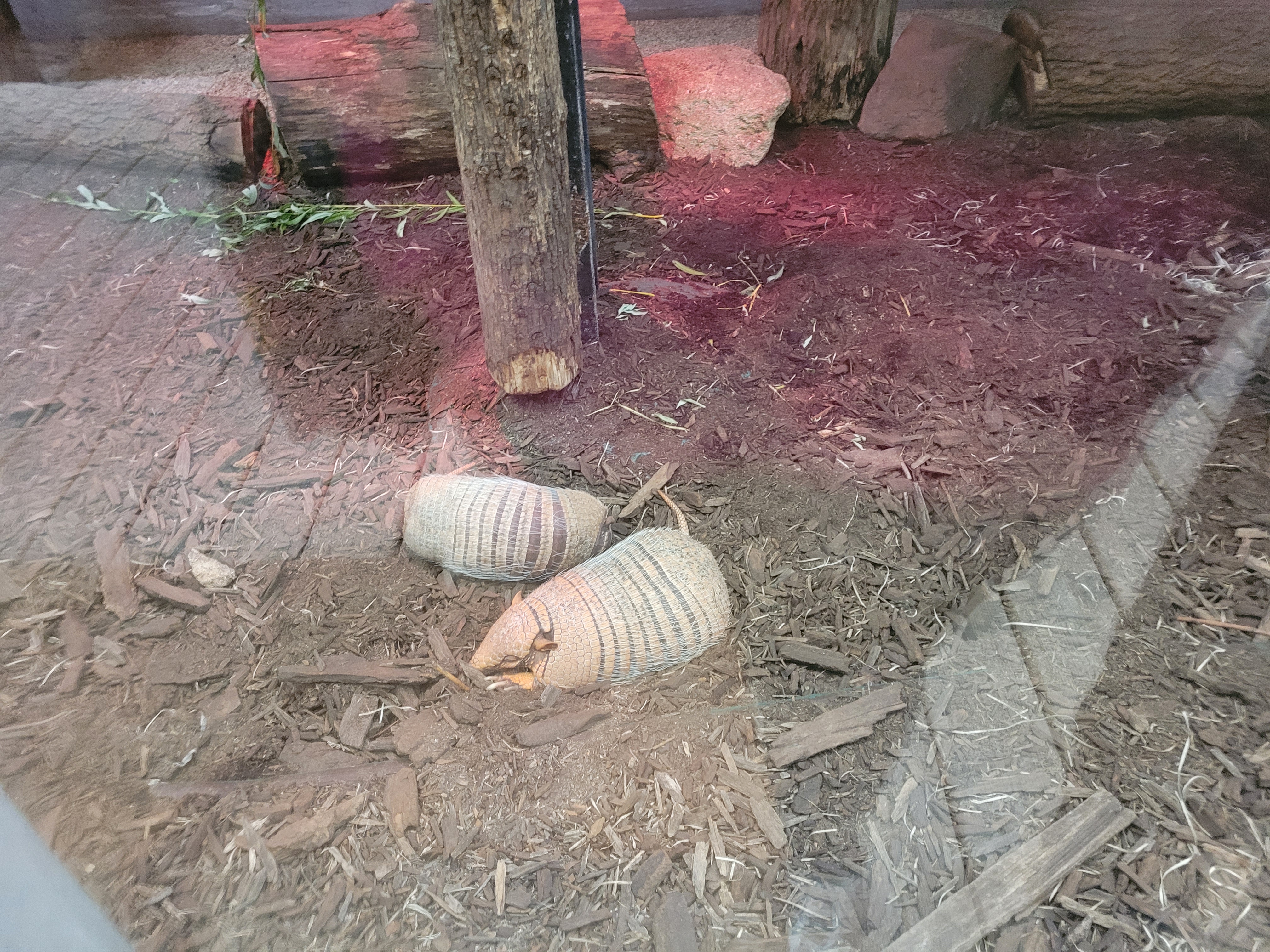 Photo n° 6 de l'avis de Stéphanie.o fait le 31/07/2022 à 16:28