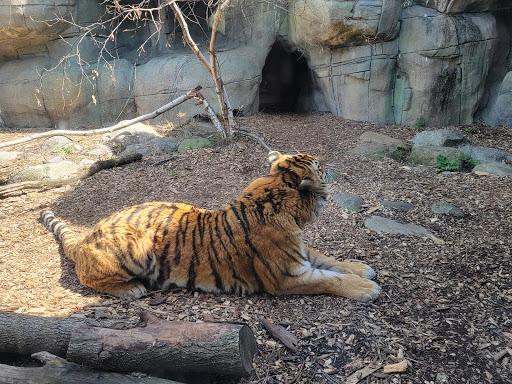 Zoo «Indianapolis Zoo», reviews and photos, 1200 W Washington St, Indianapolis, IN 46222, USA