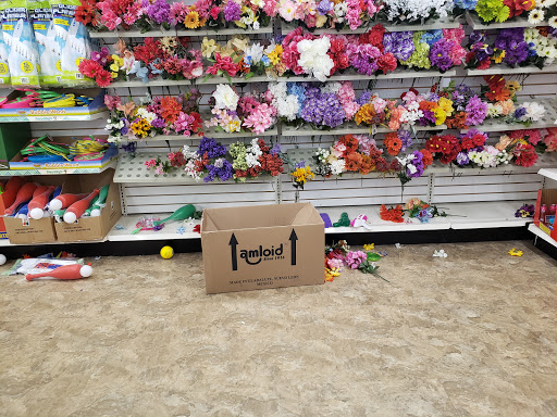 Dollar Store «Dollar Tree», reviews and photos, 6261 S 27th St, Greenfield, WI 53221, USA
