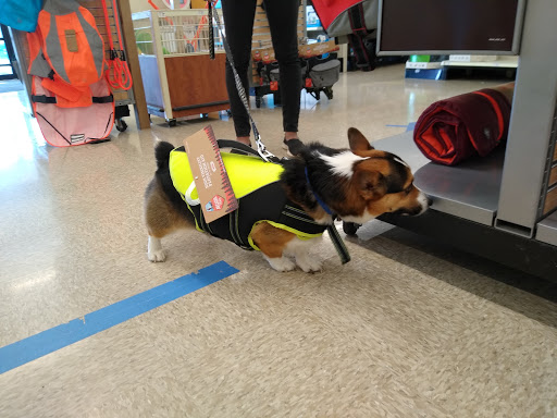 Pet Supply Store «PetSmart», reviews and photos, 248 Westminster Dr, Carlisle, PA 17013, USA