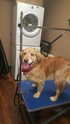 Pet Store «Pet Valu», reviews and photos, 2645 Shillington Rd, Sinking Spring, PA 19608, USA