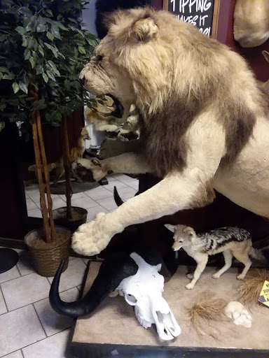 Explore tie dye tattoo ideas, creative tattoo ideas in Hanover, available at Gypsy Skull Tattoo