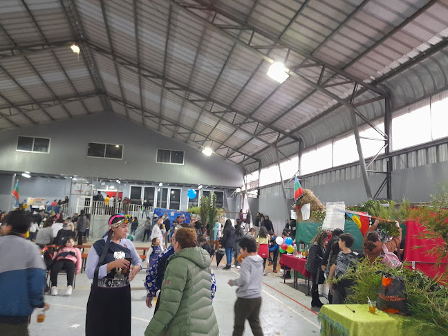 Opiniones de Colegio NewHarvest en Temuco - Escuela