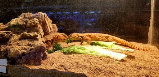 Pet Store «Animal Island Pet Shop», reviews and photos, 14411 S Cicero Ave, Midlothian, IL 60445, USA