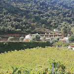 Photo n°1 de l'avis de G... fait le 12/12/2019 à 13:31 sur le  Hotel S'Olia à Cardedu