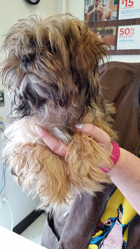 Pet Supply Store «Petco Animal Supplies», reviews and photos, 6595 N Illinois St, Fairview Heights, IL 62208, USA