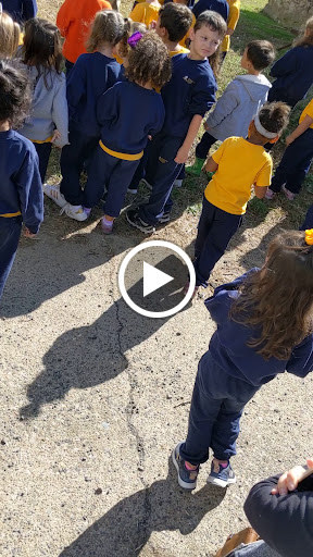 Produce Market «Solly Brothers», reviews and photos, 707 Almshouse Rd, Warminster, PA 18974, USA