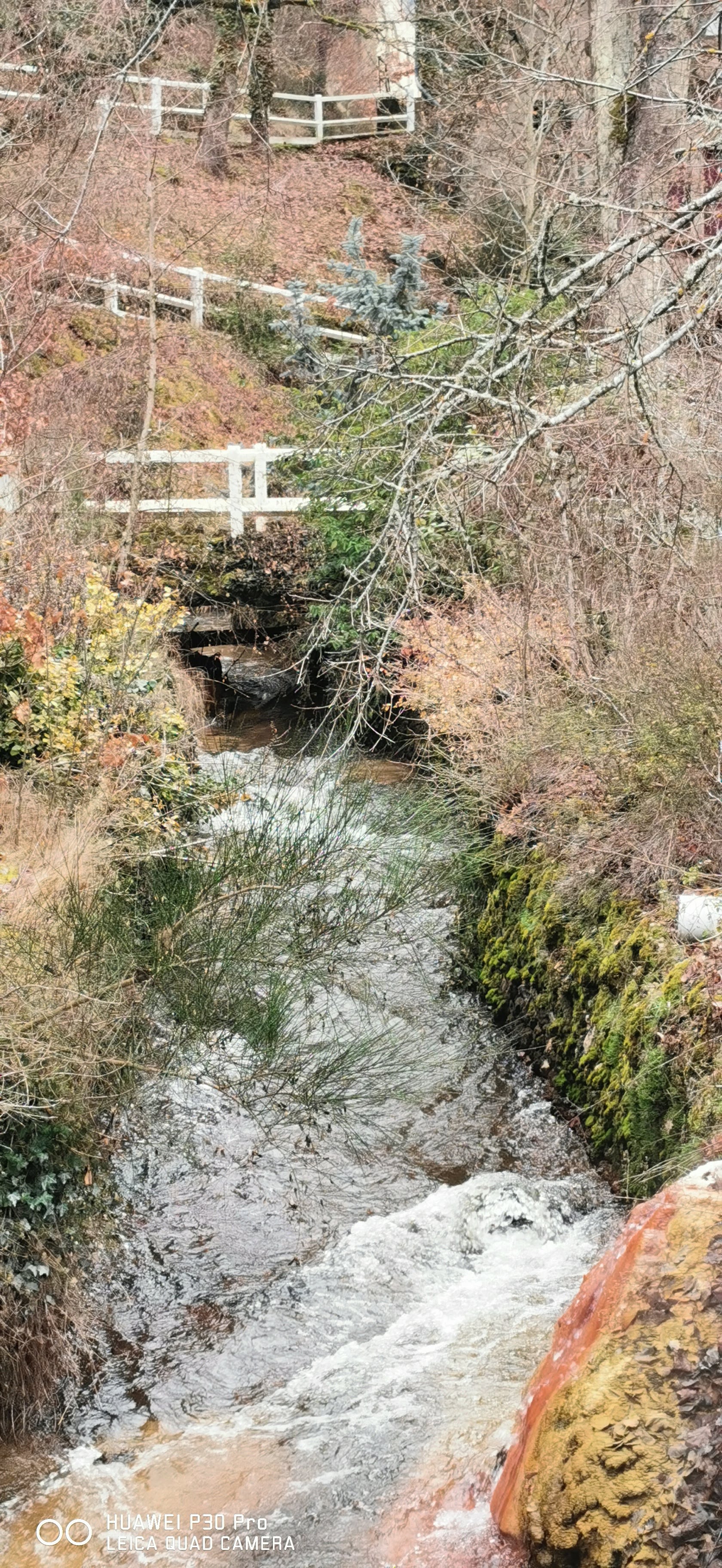 Photo n° 16 de l'avis de F..L fait le 11/03/2021 à 20:47