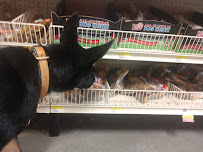 Petsense by Tractor Supply - Photo 6 - Car repair in Murfreesboro, TN, Murfreesboro