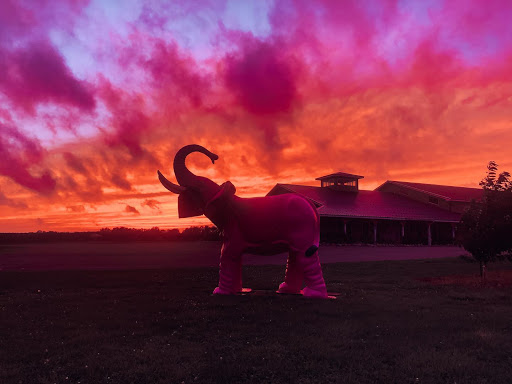 Winery «21 Brix Winery», reviews and photos, 6654 West Main Road, Portland, NY 14769, USA