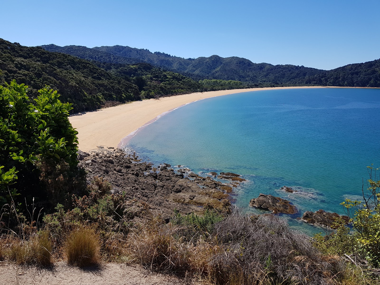 Goat Bay Beach的照片 带有宽敞的海岸线