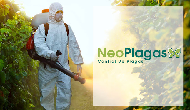 Neoplagas Control de Plagas - Empresa de fumigación y control de plagas