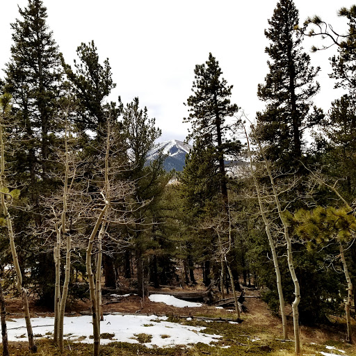 Tourist Attraction «The Broadmoor Pikes Peak Cog Railway», reviews and photos, 515 Ruxton Ave, Manitou Springs, CO 80829, USA