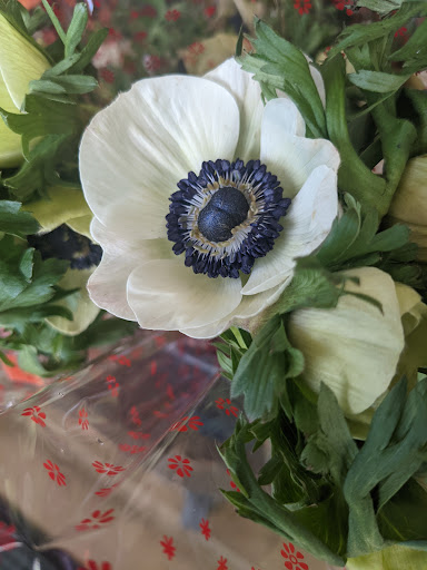 Produce Market «Produce Junction Inc», reviews and photos, 272 Pottstown Pike, Exton, PA 19341, USA