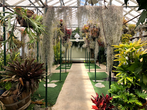 Orchid farm Daly City