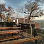 Photo n°5 de l'avis de Prof..i fait le 25/11/2019 à 19:26 sur le  Jagdhaus Schellenberg - Essen à Essen