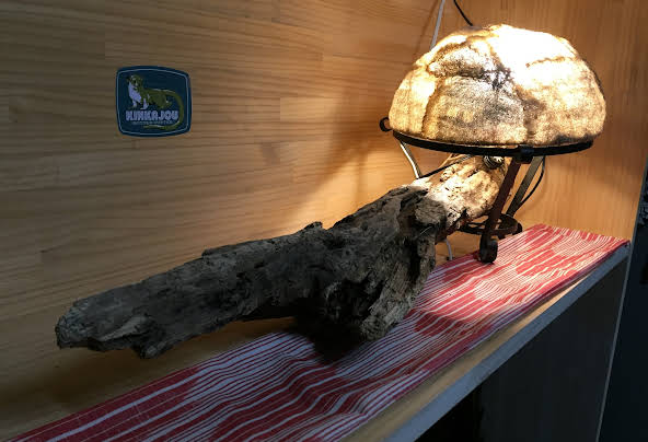 ゲストハウス サンテ