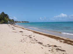 Playa Las Carreras'in fotoğrafı çok temiz temizlik seviyesi ile