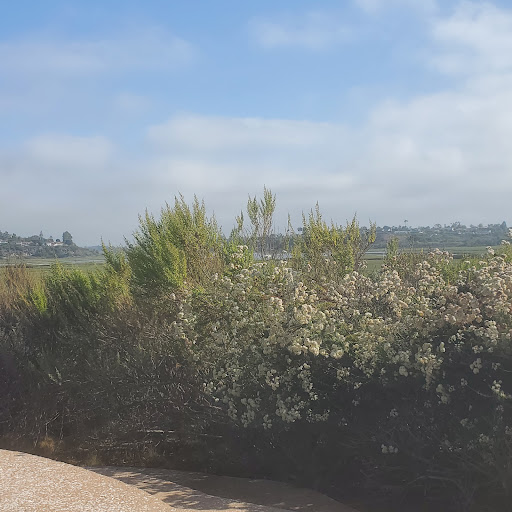 Nature Preserve «Peter and Mary Muth Interpretive Center», reviews and photos, 2301 University Dr, Newport Beach, CA 92660, USA