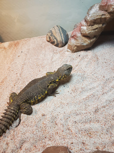 Pet Supply Store «Pet Supplies Plus», reviews and photos, 2352 Lineville Rd #115, Green Bay, WI 54313, USA