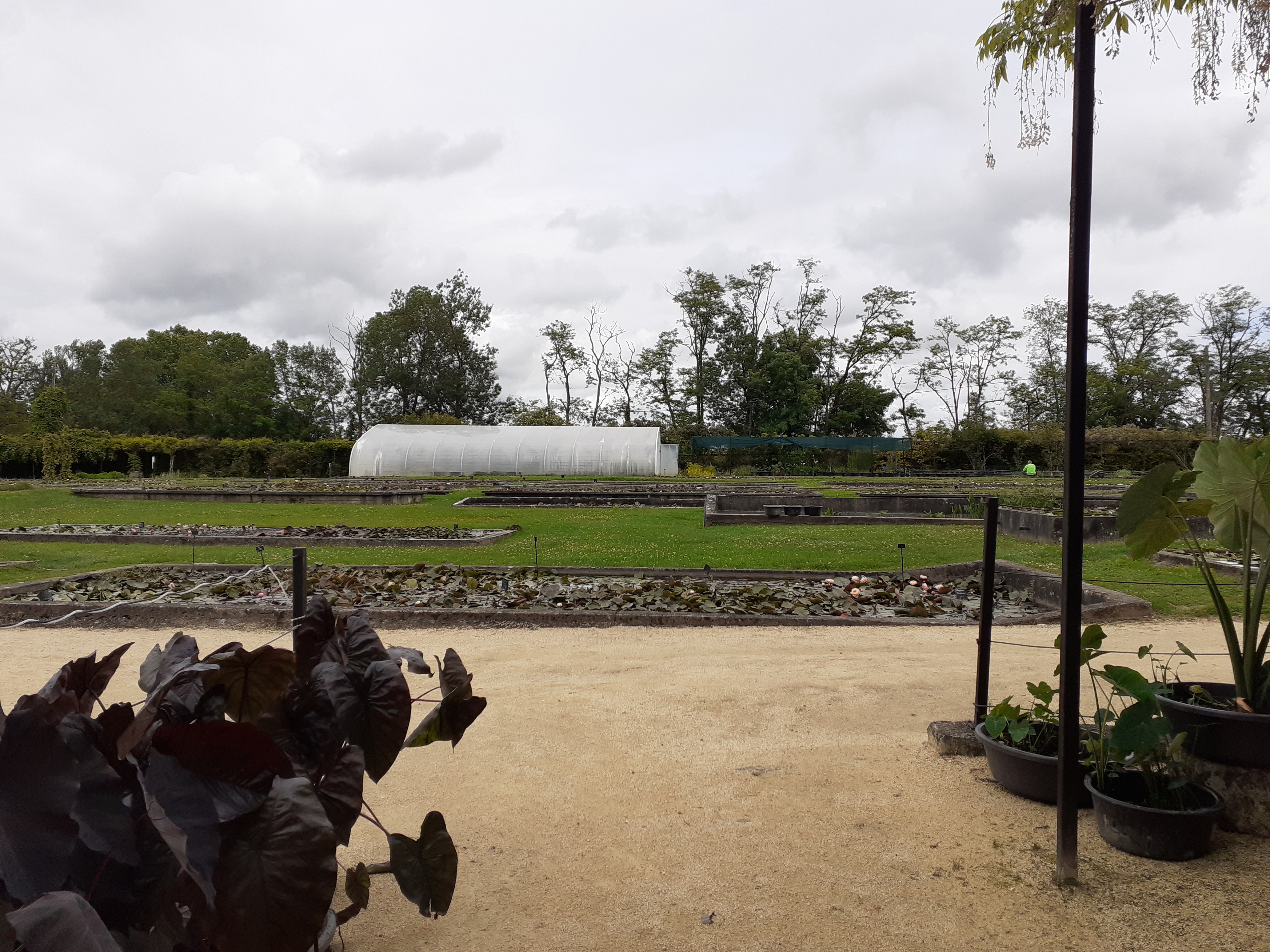 Photo n° 44 de l'avis de Kirenia.e fait le 22/05/2021 à 17:27