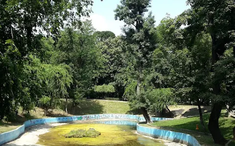 Kiseleff Park image