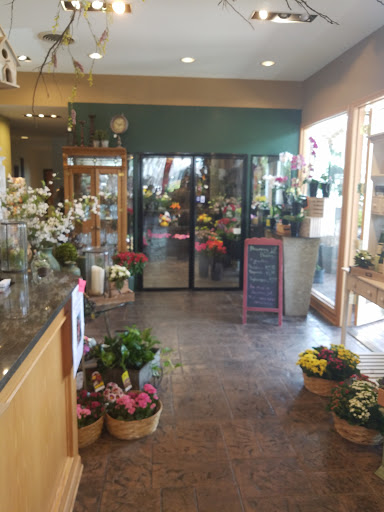 Conner Park Florist, 21480 Greater Mack Ave, St Clair Shores, MI 48080, USA, 