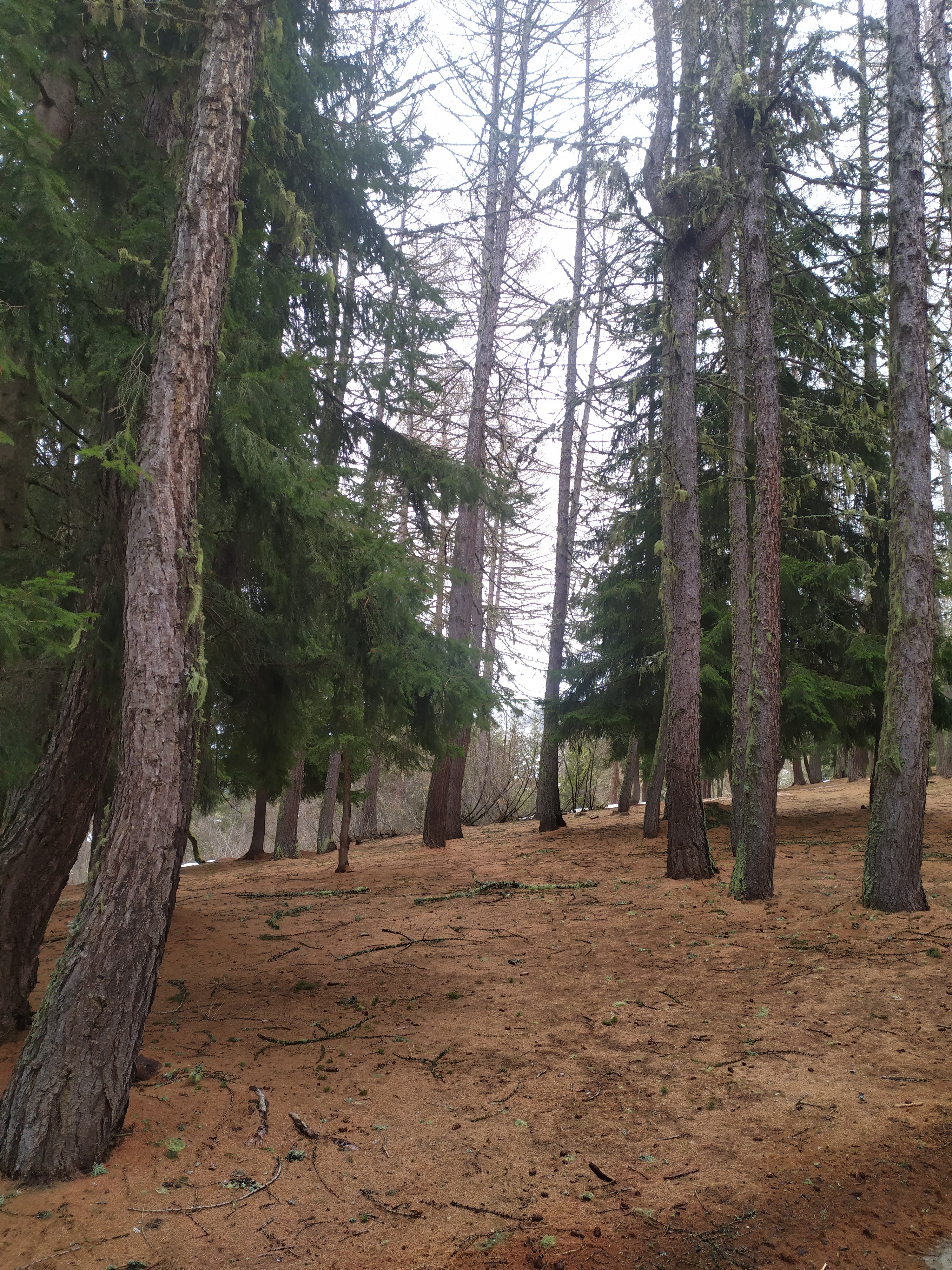 Photo n° 24 de l'avis de Christelle.E fait le 23/04/2023 à 16:43