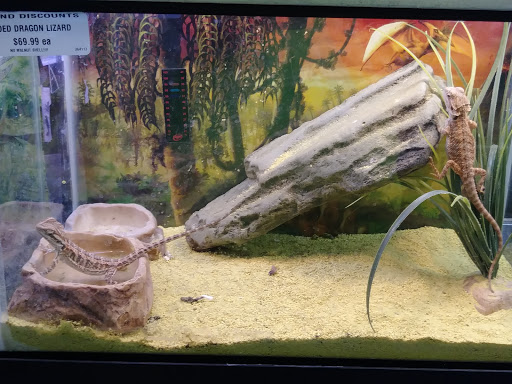 Pet Supply Store «Petland Discounts - Bayonne», reviews and photos, 533 Broadway, Bayonne, NJ 07002, USA