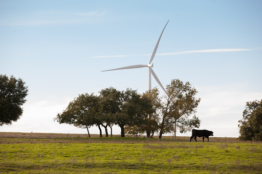 Photographer «Karen Campbell Photography», reviews and photos, 2408 Dorrington Dr, Dallas, TX 75228, USA