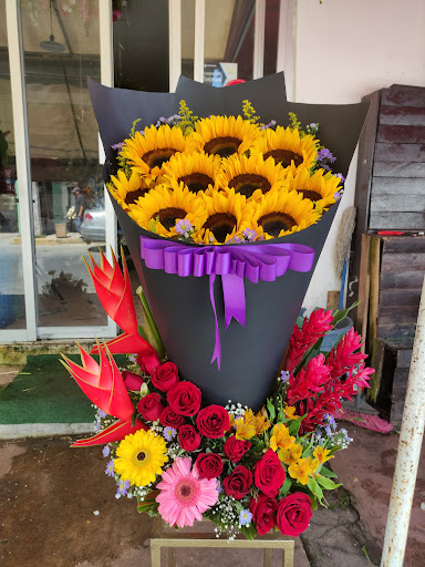 FLORERÍA PAULINA – Villahermosa