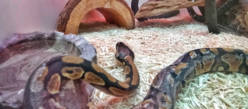 Pet Supply Store «Pet Supplies Plus», reviews and photos, 1094 N Wisner St, Jackson, MI 49202, USA