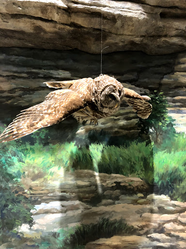 Museum «National Great Rivers Museum», reviews and photos, Lock and Dam Way, Alton, IL 62002, USA